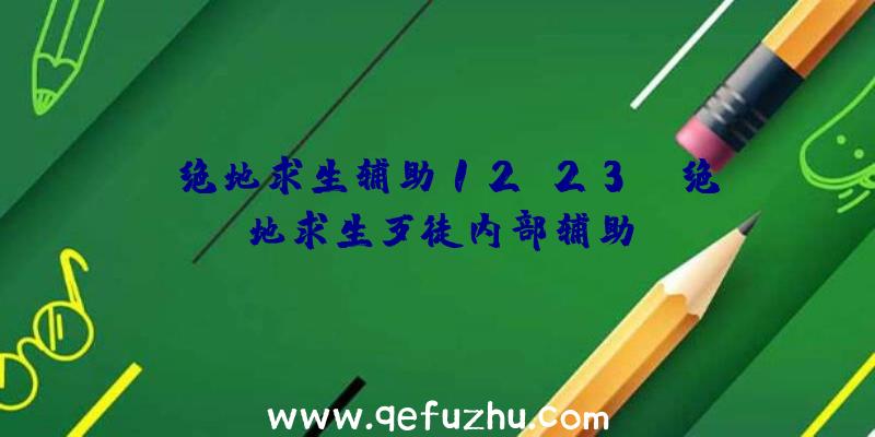「绝地求生辅助12.23」|绝地求生歹徒内部辅助